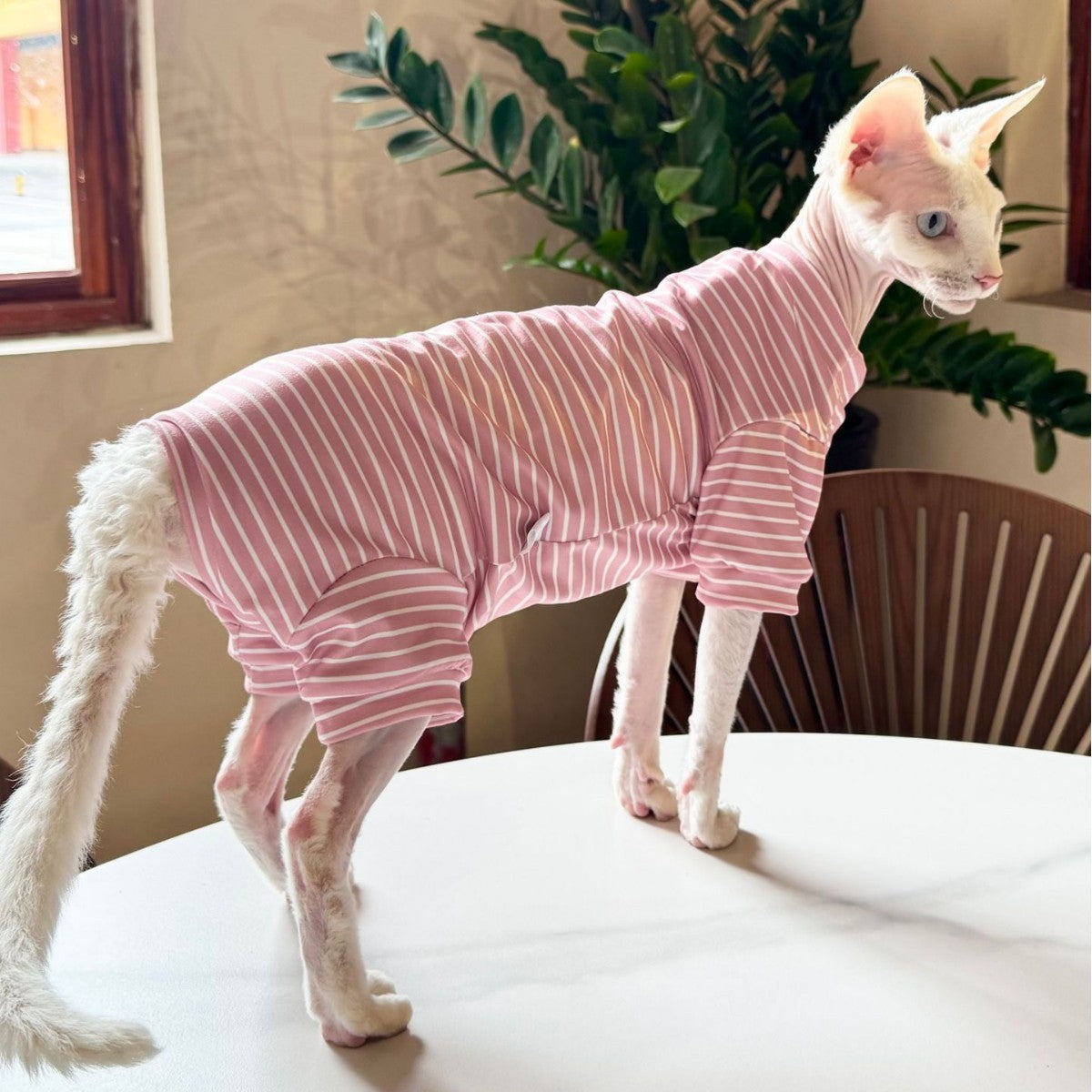 KFX-0807357 Breathable Four-Legged Cat Clothing in Blue, Purple, Yellow, and Brown - Casual Polyester Pet Outfit