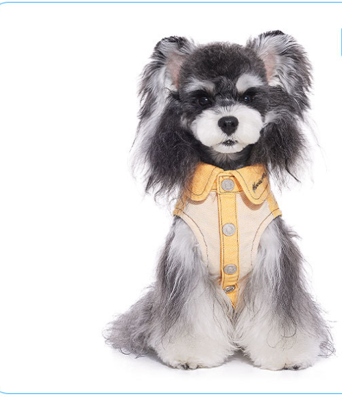 KFX-0807485 Casual Yellow Pet Clothing for Small Dogs - Bichon, Yorkshire, Schnauzer Sizes XXS to XXL