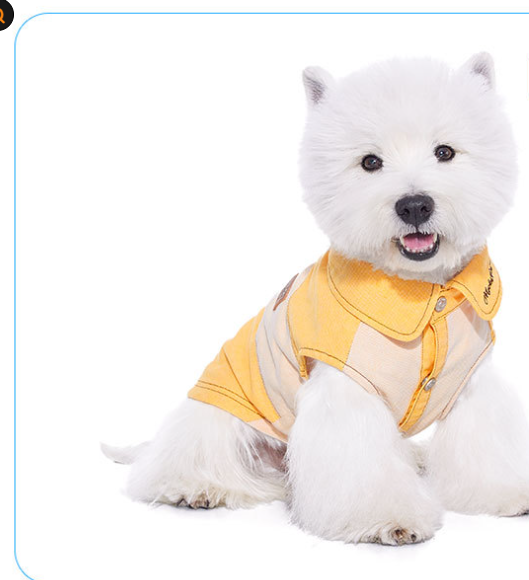 KFX-0807485 Casual Yellow Pet Clothing for Small Dogs - Bichon, Yorkshire, Schnauzer Sizes XXS to XXL