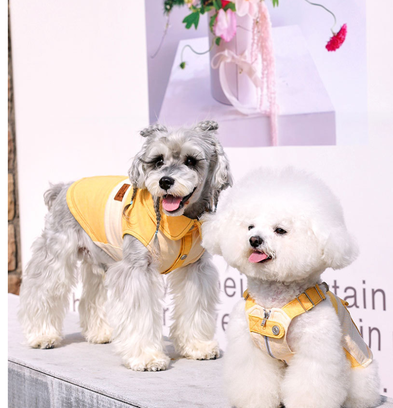 KFX-0807485 Casual Yellow Pet Clothing for Small Dogs - Bichon, Yorkshire, Schnauzer Sizes XXS to XXL