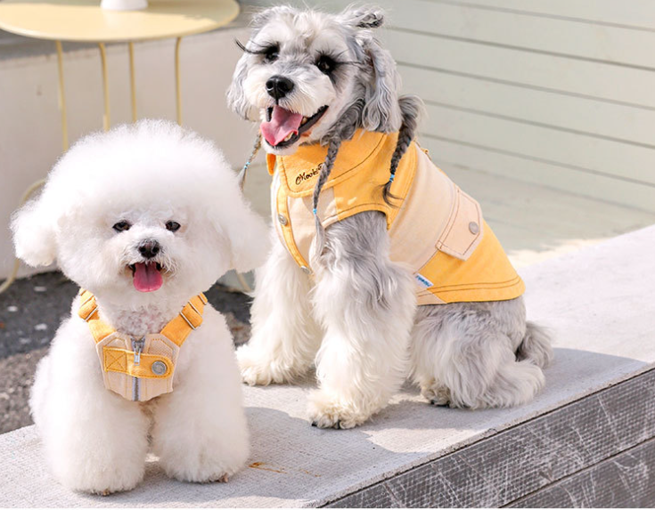 KFX-0807485 Casual Yellow Pet Clothing for Small Dogs - Bichon, Yorkshire, Schnauzer Sizes XXS to XXL