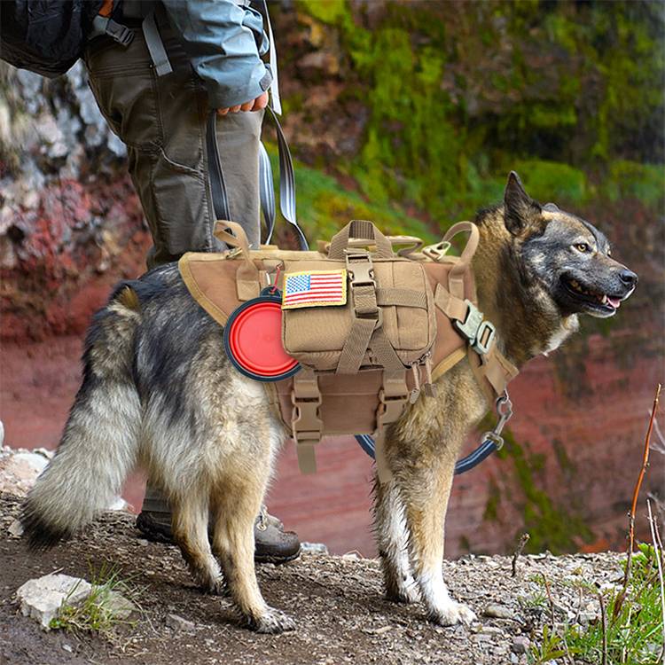KFX-0807997 Malinois Dog Training Vest with Leash and Backpack - Available in Brown, Green, and Black