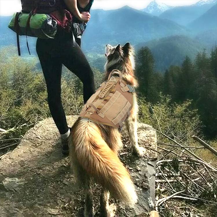 KFX-0807997 Malinois Dog Training Vest with Leash and Backpack - Available in Brown, Green, and Black