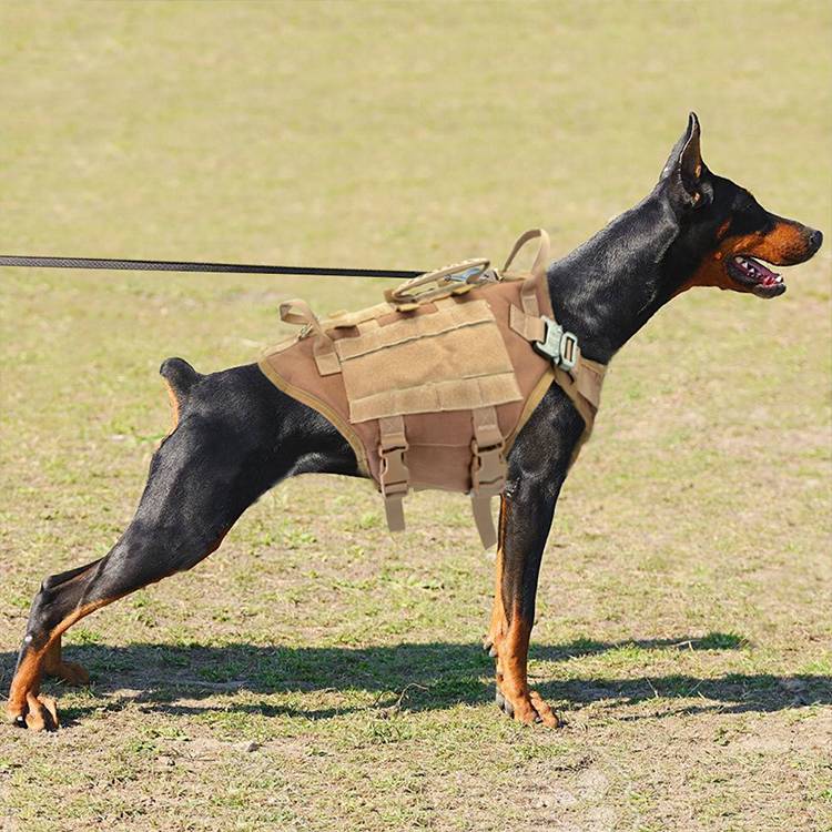 KFX-0807997 Malinois Dog Training Vest with Leash and Backpack - Available in Brown, Green, and Black