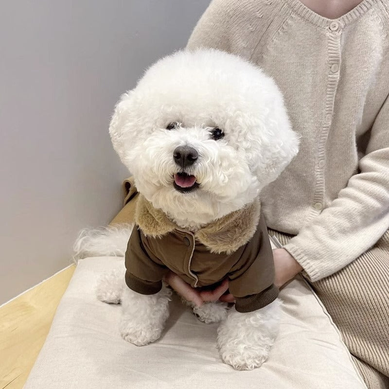 KFX-0813117 Thick Warm Jacket for Small Dogs and Cats, Autumn/Winter Apparel in Beige and Brown Bear Designs