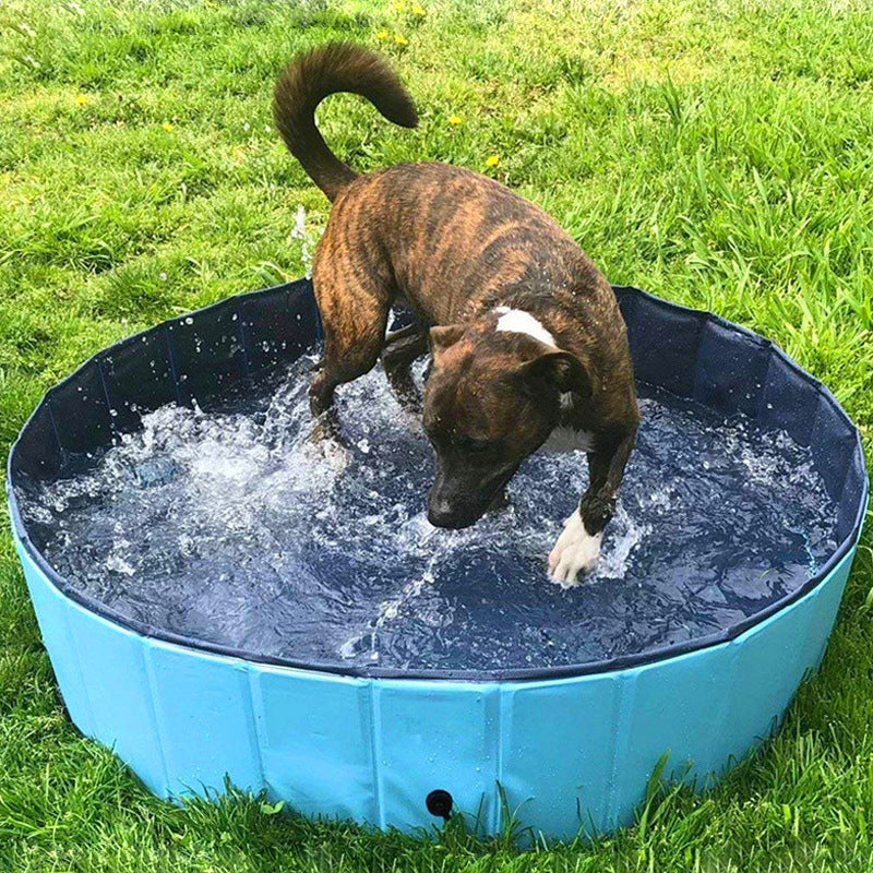 KFX-0816317 Foldable Collapsible Dog and Cat Bath Pool - Portable Indoor/Outdoor Swimming Tub for Pets