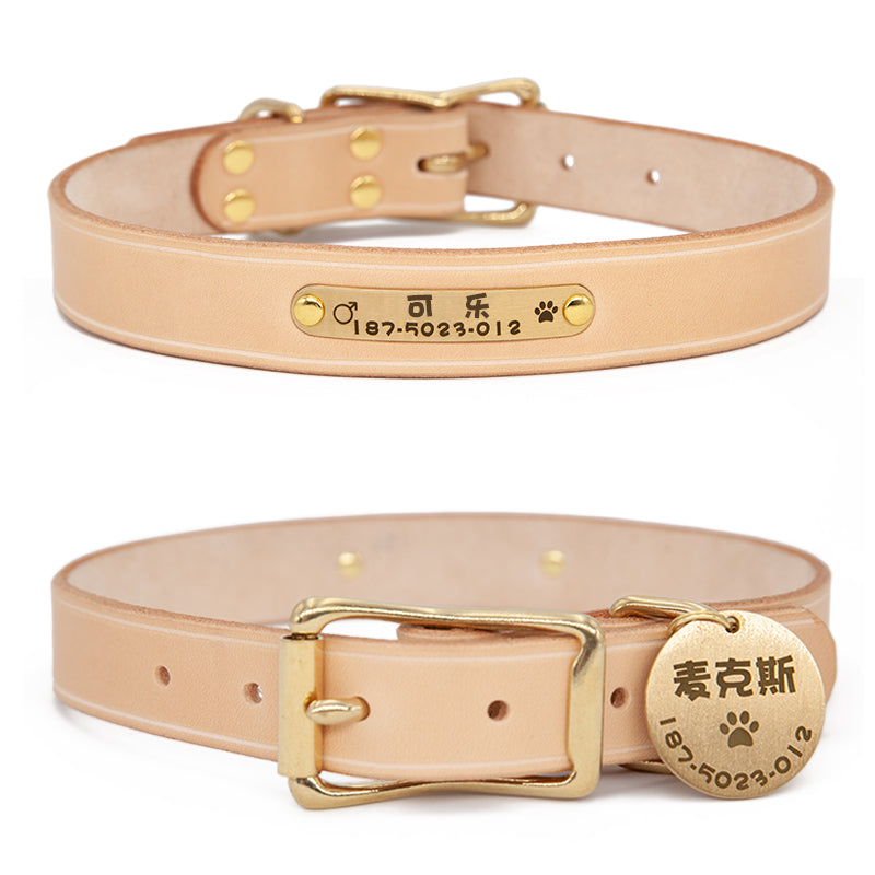 KFX-0816445 Custom Handcrafted Leather Dog Tag Holder with Brass Accents