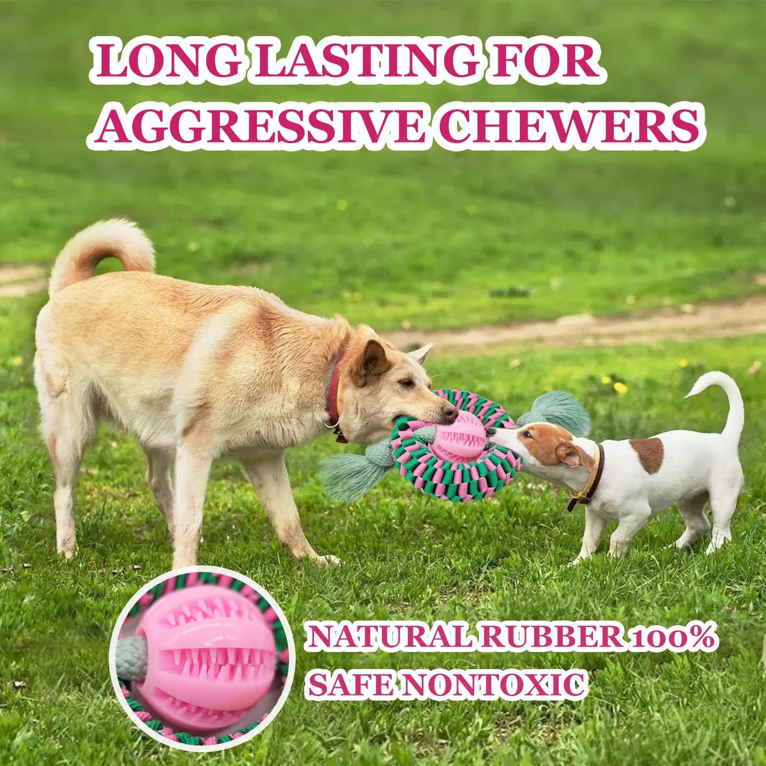 KFX-0821693 Durable Chew Toy for Dogs – Natural Rubber & Nylon for Teeth Cleaning, Exercise, and Interactive Play