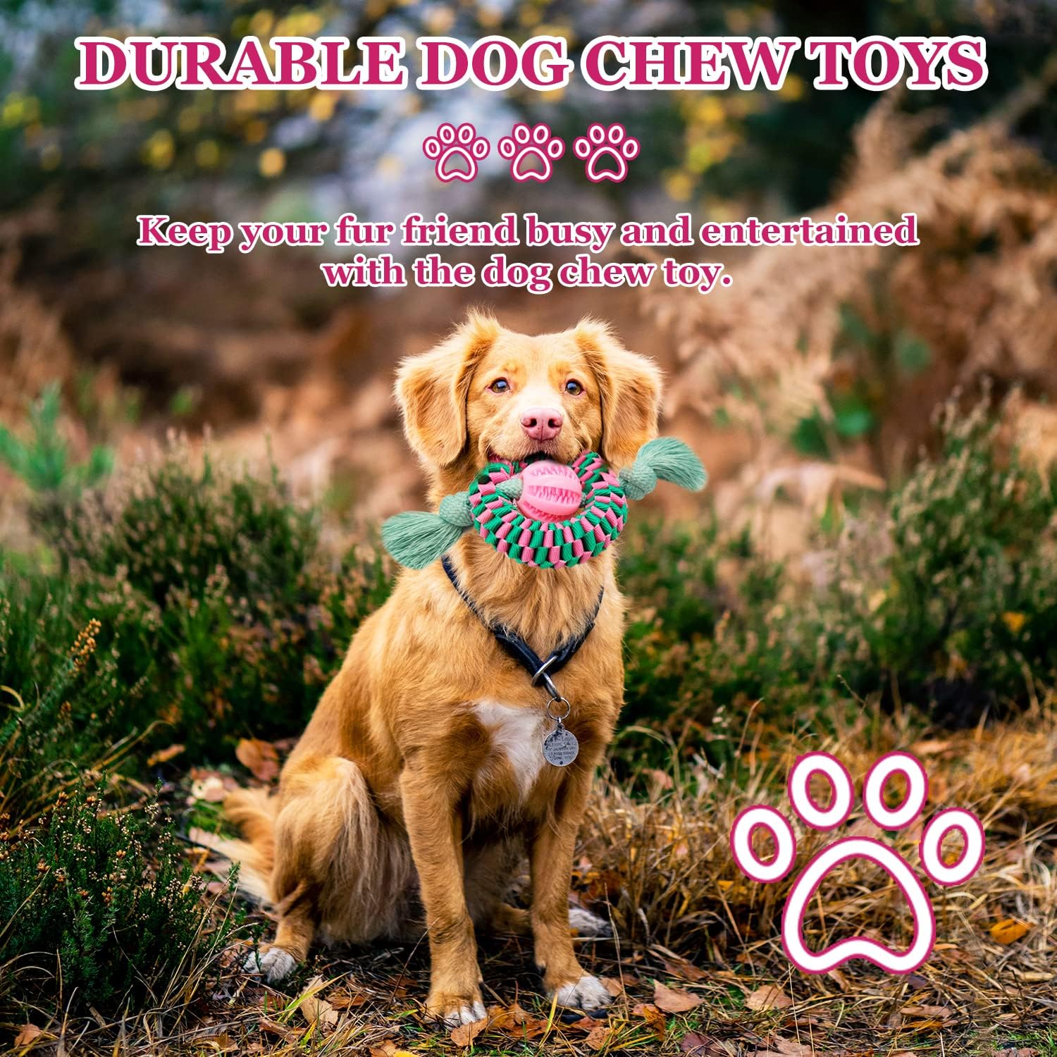 KFX-0821693 Durable Chew Toy for Dogs – Natural Rubber & Nylon for Teeth Cleaning, Exercise, and Interactive Play