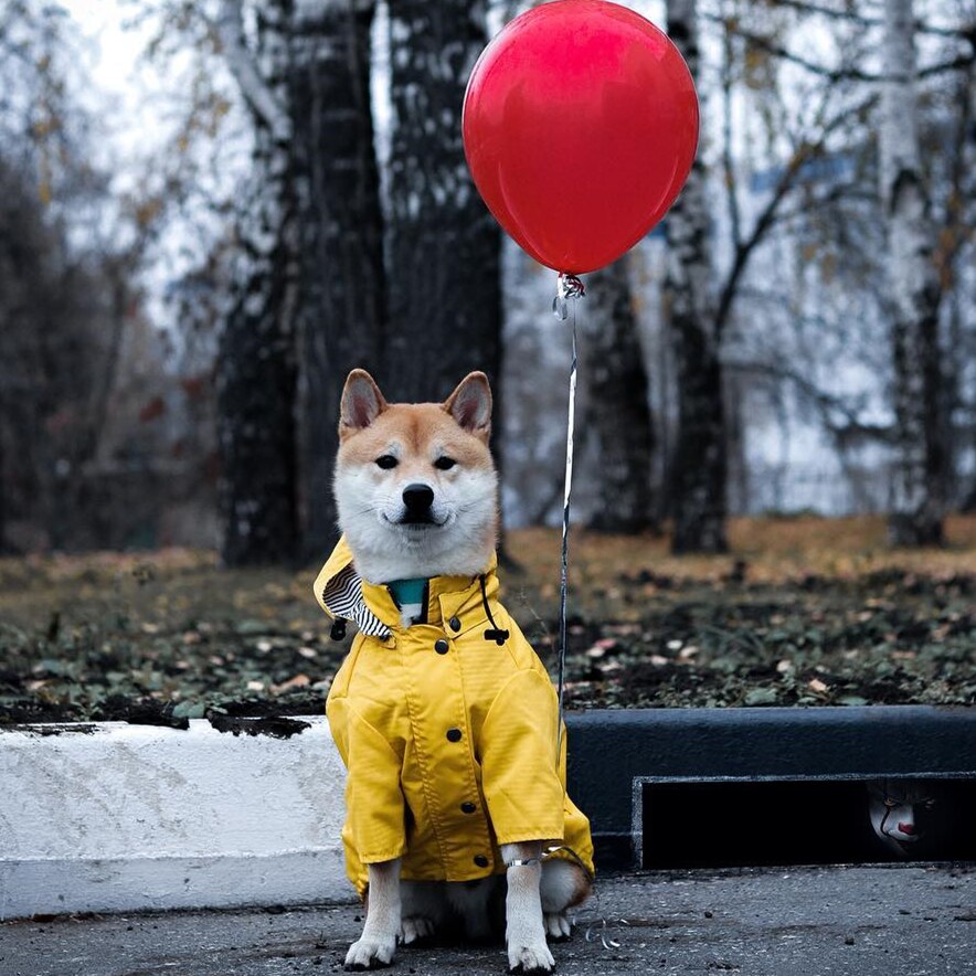 KFX-0821821 Yellow Waterproof Dog Raincoat with Breathable Cotton Lining - Available in Multiple Sizes