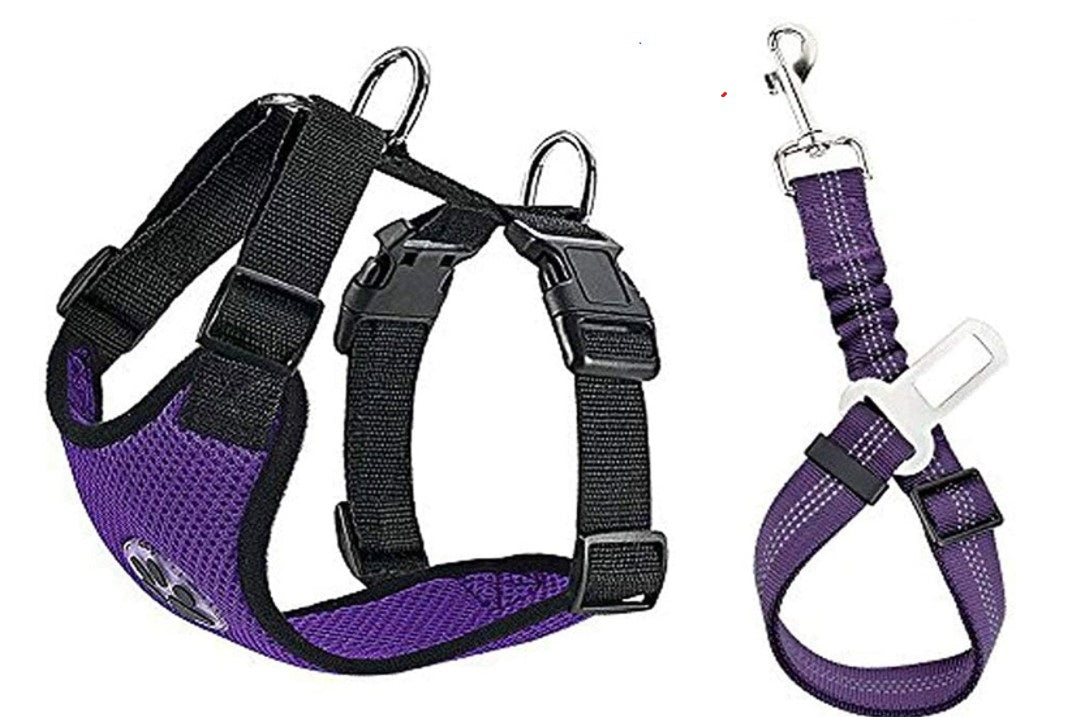 KFX-0829245 Reflective and Breathable Nylon Dog Rope - Multi-Color Options, Various Sizes Available