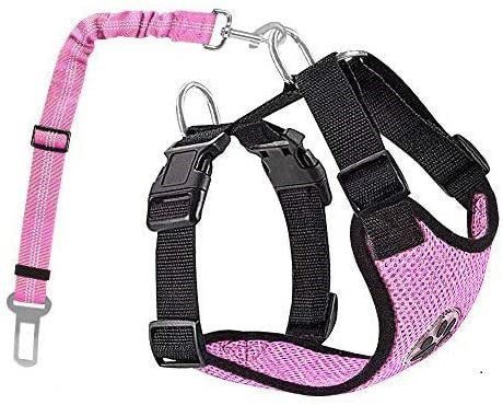 KFX-0829245 Reflective and Breathable Nylon Dog Rope - Multi-Color Options, Various Sizes Available