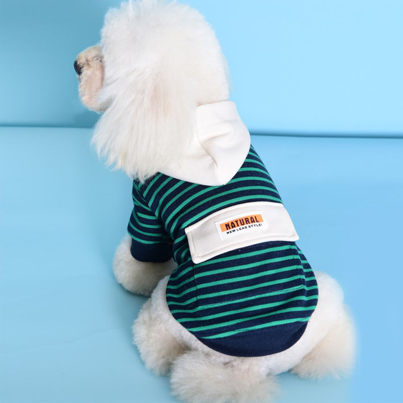 KFX-0846525 Striped Hooded Dog Sweater for Small Dogs – Casual Cotton Sportswear in Orange and Green