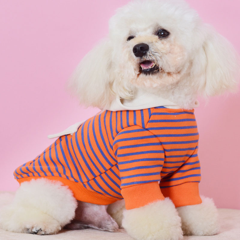 KFX-0846525 Striped Hooded Dog Sweater for Small Dogs – Casual Cotton Sportswear in Orange and Green