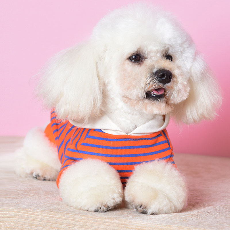 KFX-0846525 Striped Hooded Dog Sweater for Small Dogs – Casual Cotton Sportswear in Orange and Green