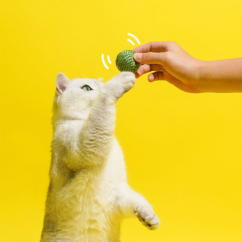 KFX-0854461 Interactive Cat Toy Balls Set - 3PCS Sisal Rope Chew Balls with Rustling Sound and Pea Pod Storage for Indoor Play