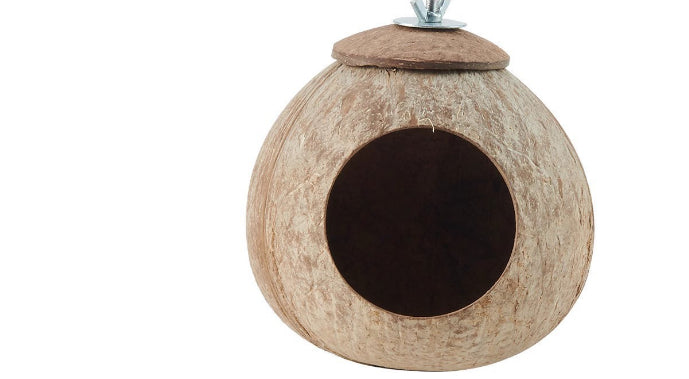 KFX-0857021 Coconut Shell Nest and Vine Set for Climbing Reptiles, 2.3m Vine with Natural Hairy Nest