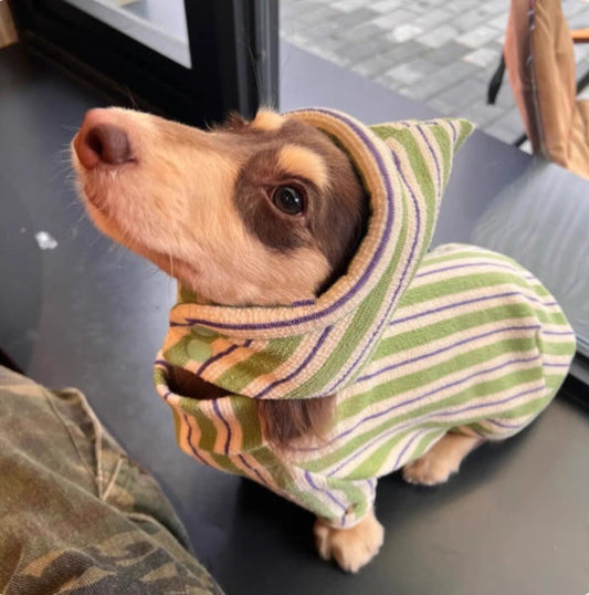KFX-0860733 Warm Green Bubble Coat for Dogs - Cotton-Padded Vest Without Hat in Various Sizes