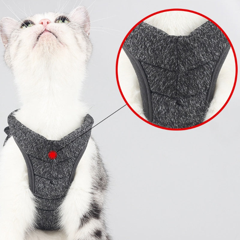 KFX-0862013 Adjustable Cat Traction Rope and Chest Strap, Available in Gray and Blue, Sizes S-M-L