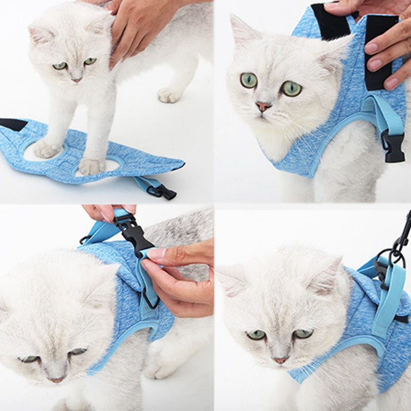 KFX-0862013 Adjustable Cat Traction Rope and Chest Strap, Available in Gray and Blue, Sizes S-M-L
