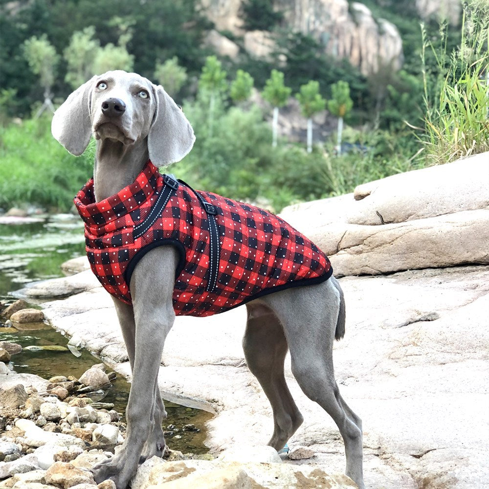 KFX-0866877 Waterproof Reflective Winter Pet Coat with Chest and Back Coverage - Available in Multiple Sizes and Styles