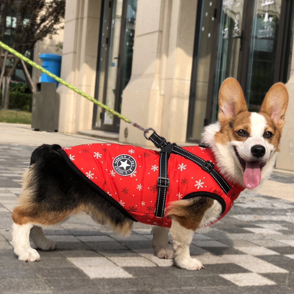 KFX-0866877 Waterproof Reflective Winter Pet Coat with Chest and Back Coverage - Available in Multiple Sizes and Styles