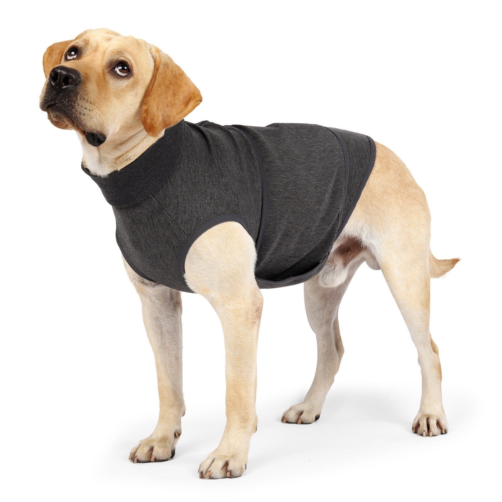 KFX-0868157 Emotional Comfort Double Jacket for Pets - Dark Grey Polyester Fiber