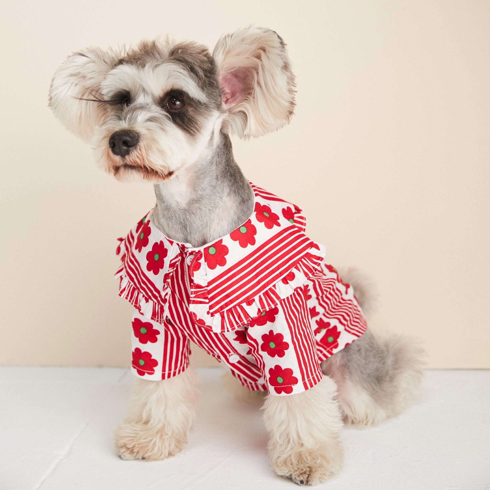 KFX-0886333 Lightweight Cotton Dog Shirt with Lotus Leaf Design in Blue and Red, Sizes S-XXL