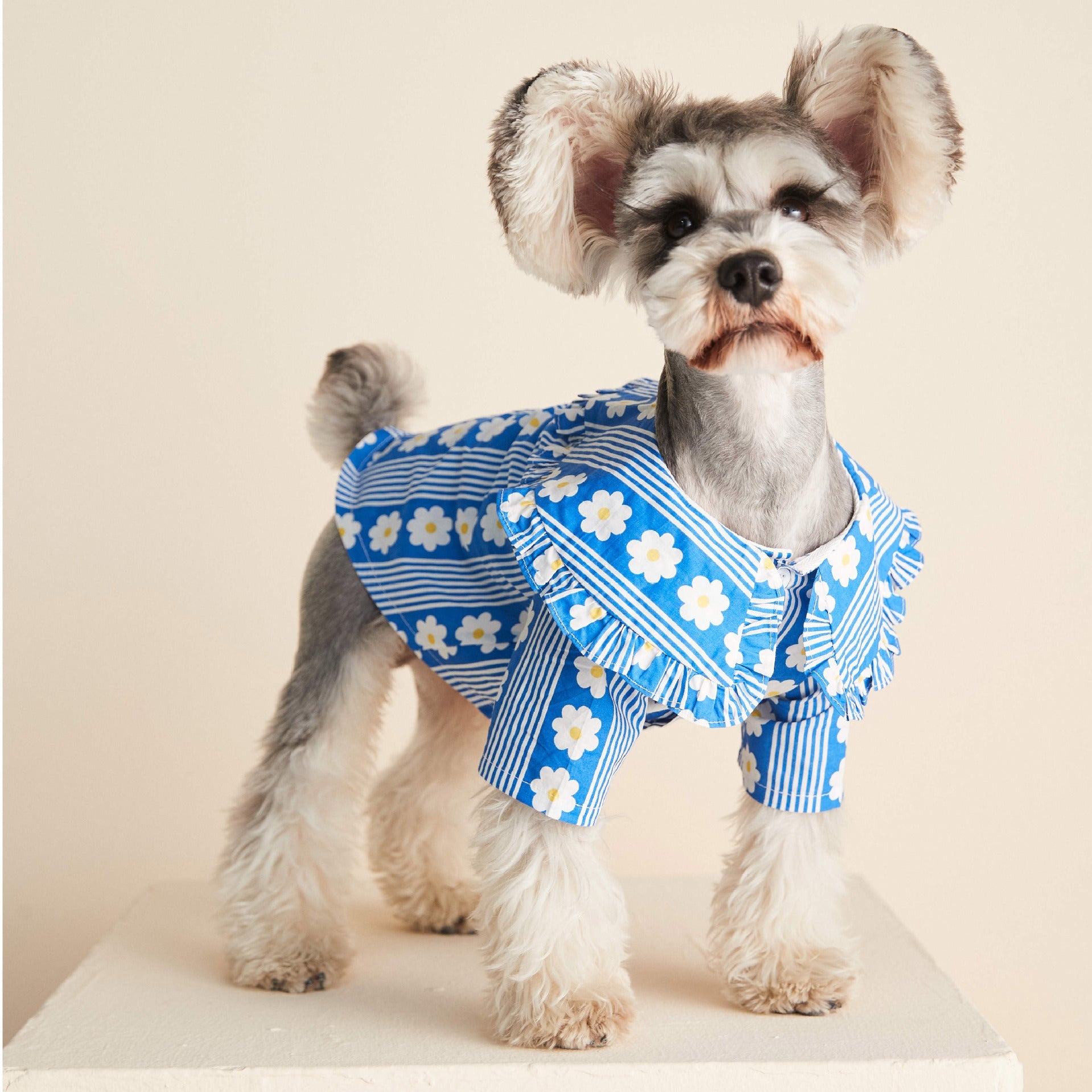 KFX-0886333 Lightweight Cotton Dog Shirt with Lotus Leaf Design in Blue and Red, Sizes S-XXL