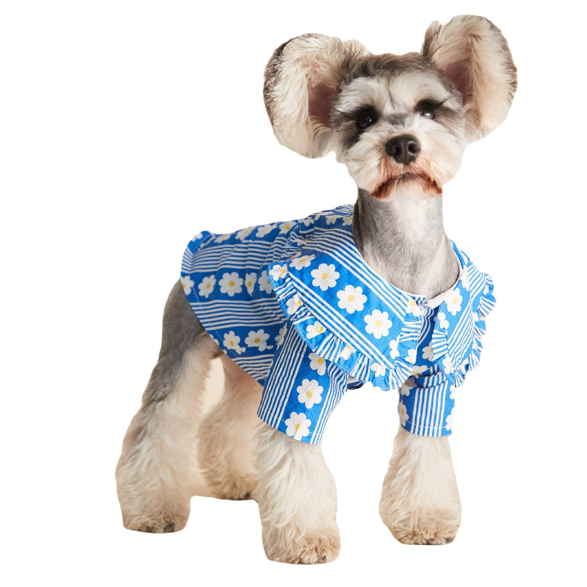 KFX-0886333 Lightweight Cotton Dog Shirt with Lotus Leaf Design in Blue and Red, Sizes S-XXL