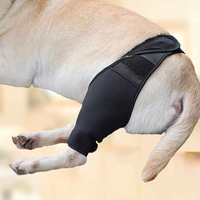 KFX-0887229 Pet Thigh Protective Sleeve for Surgical Recovery - Neoprene Joint Leggings in Multiple Sizes
