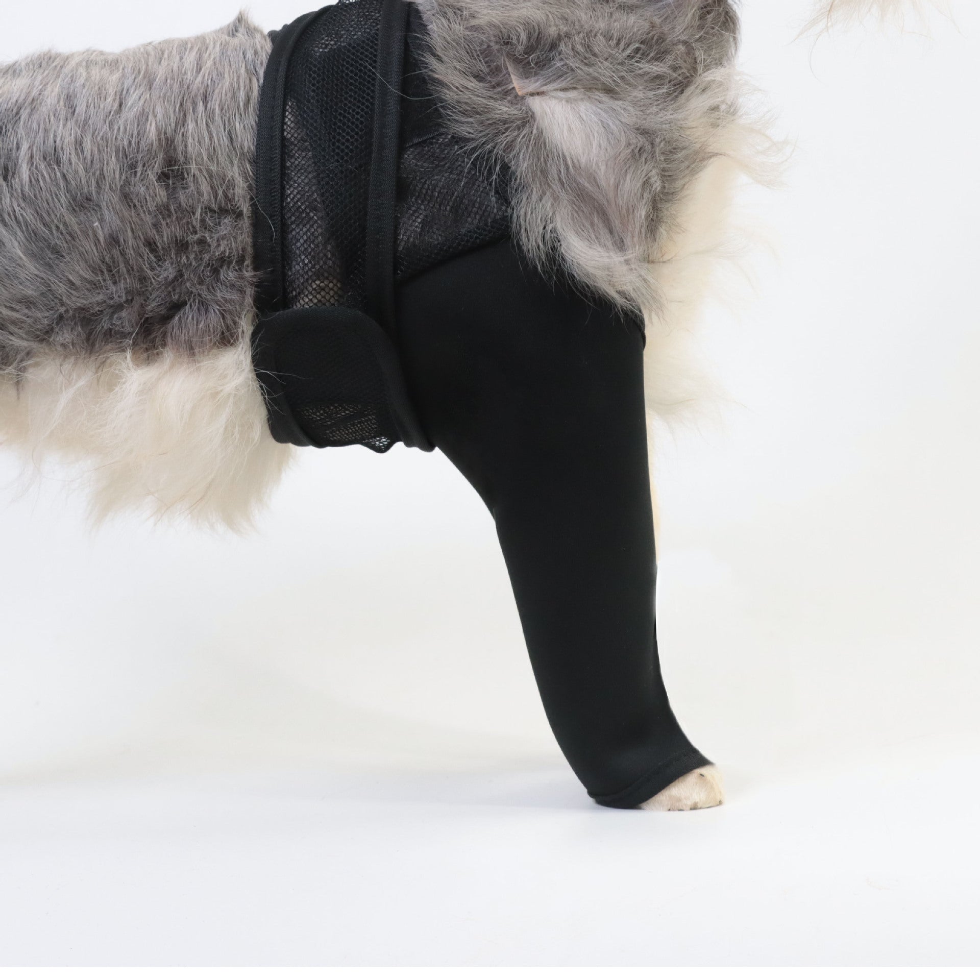 KFX-0887229 Pet Thigh Protective Sleeve for Surgical Recovery - Neoprene Joint Leggings in Multiple Sizes