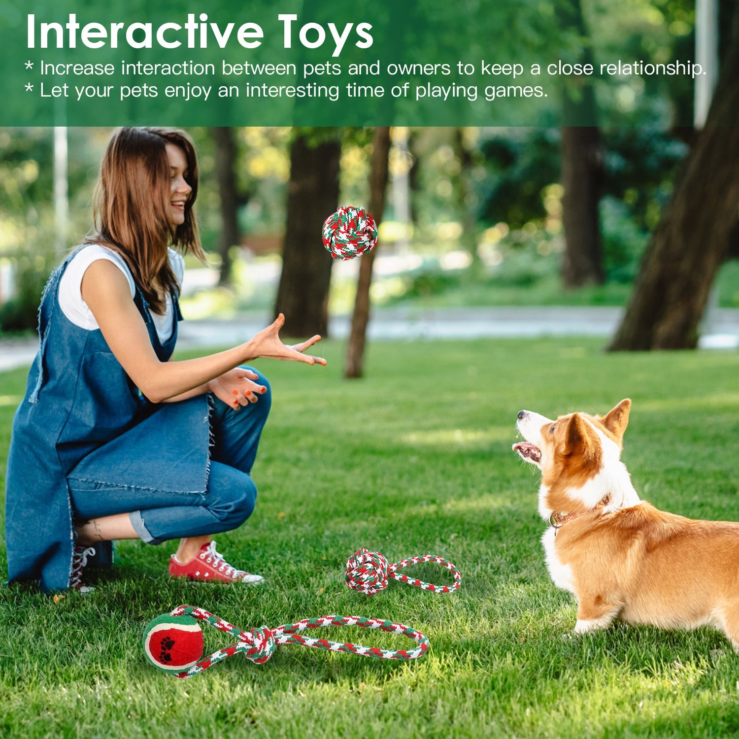 KFX-0888381 Set of 5 Holiday-Themed Dog Rope Chew Toys for Interactive Play and Dental Health