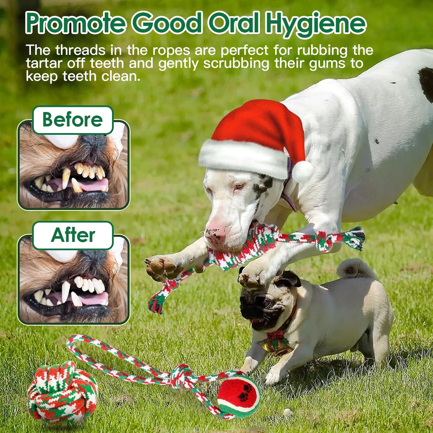 KFX-0888381 Set of 5 Holiday-Themed Dog Rope Chew Toys for Interactive Play and Dental Health