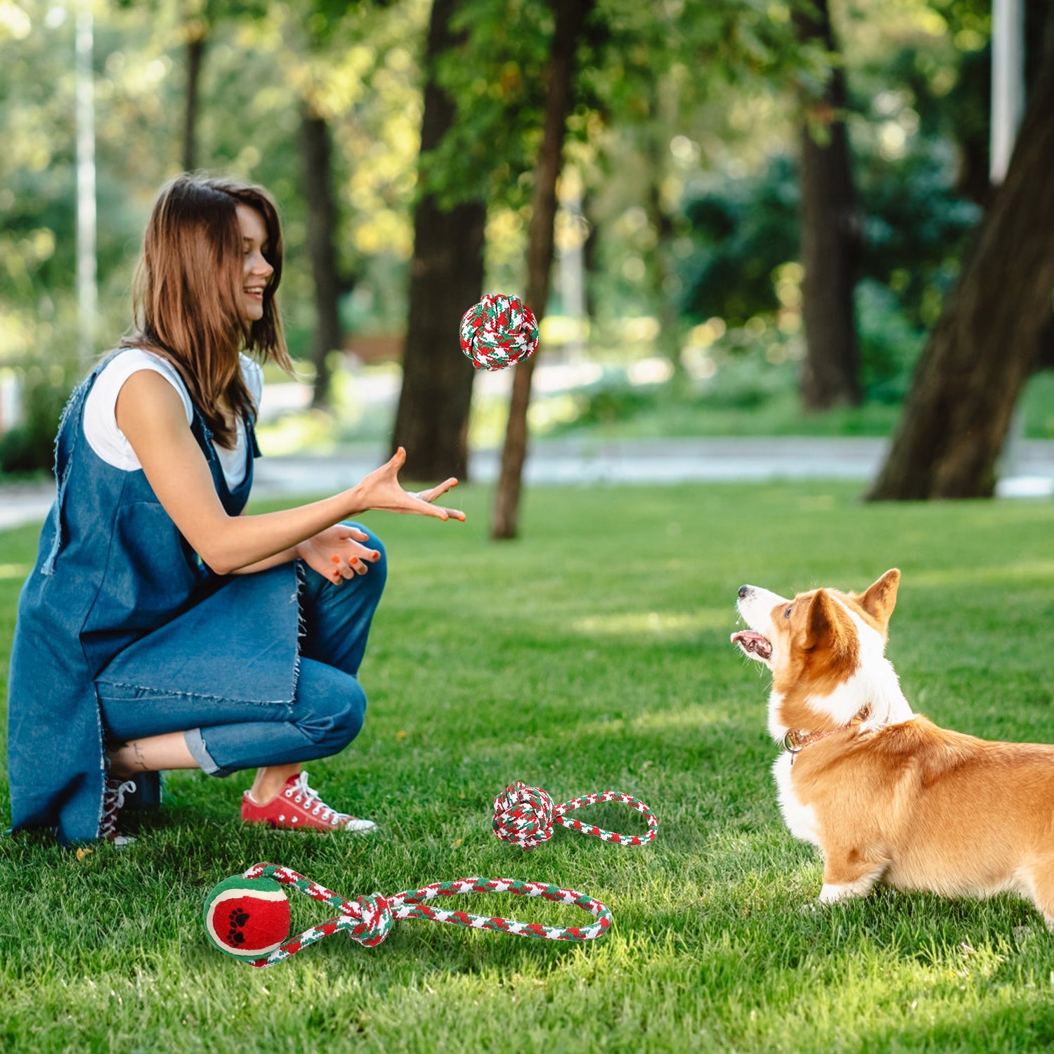 KFX-0888381 Set of 5 Holiday-Themed Dog Rope Chew Toys for Interactive Play and Dental Health