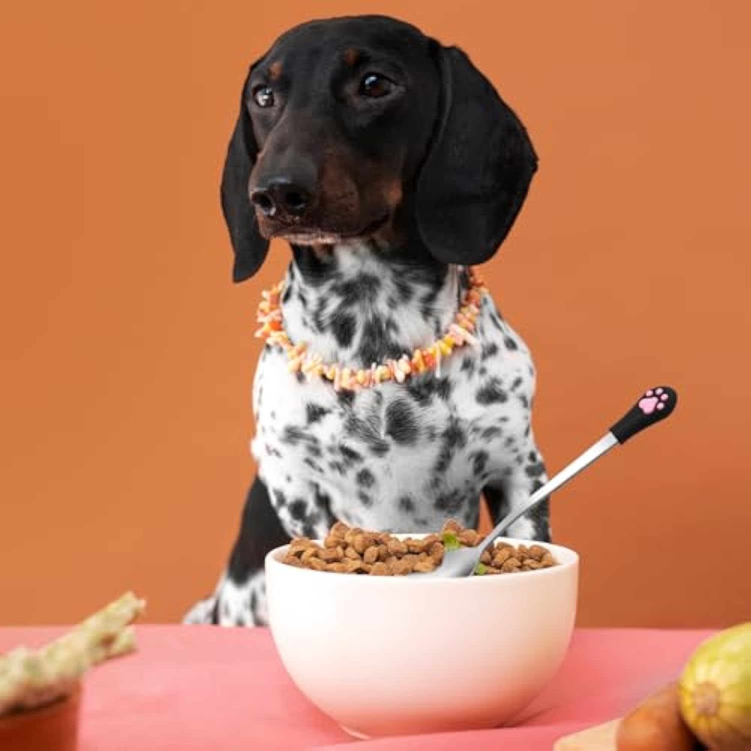 KFX-0904509 Stainless Steel Dog & Cat Food Spoons with Long Handle - 2 Pack in White & Black with Cute Paw Print Design