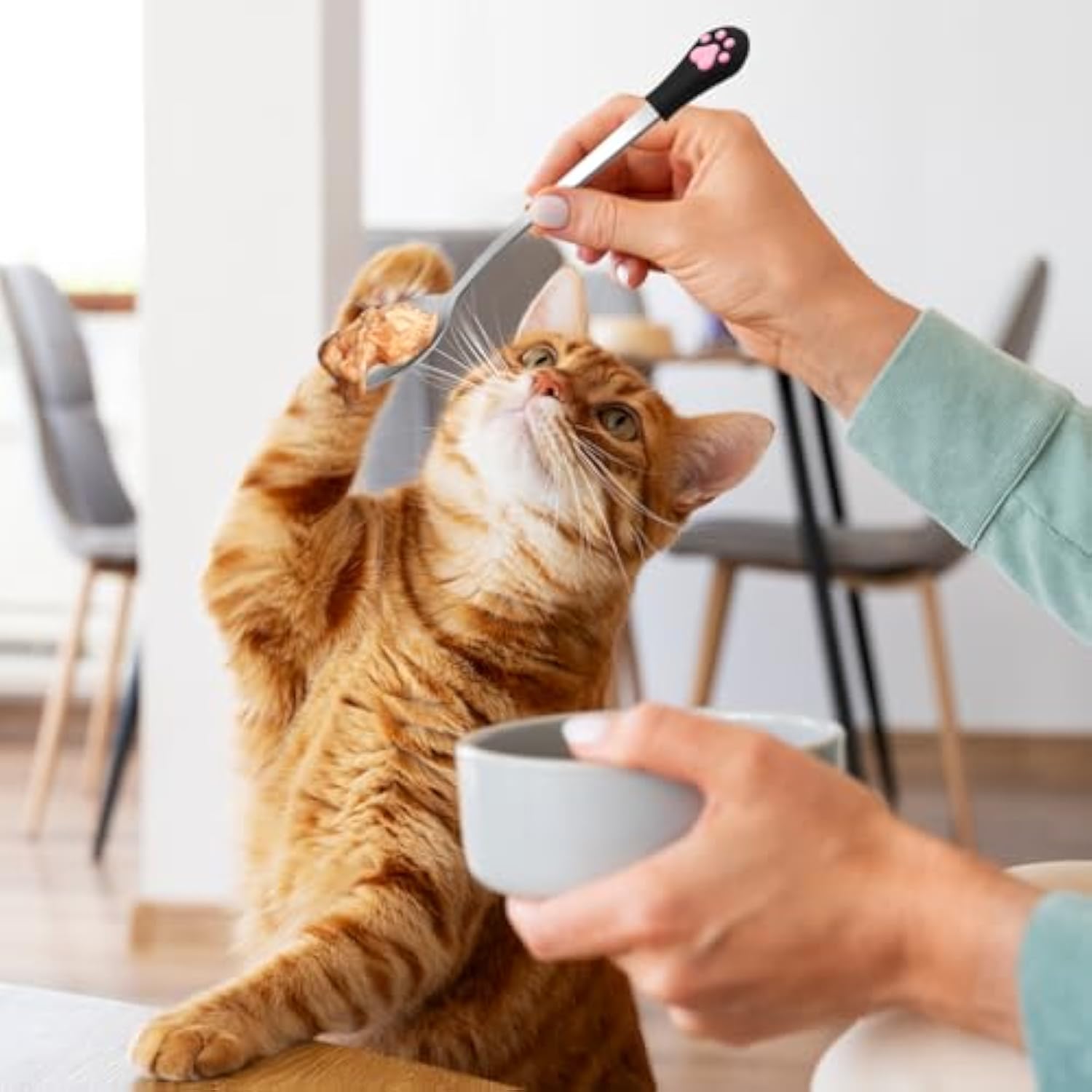 KFX-0904509 Stainless Steel Dog & Cat Food Spoons with Long Handle - 2 Pack in White & Black with Cute Paw Print Design