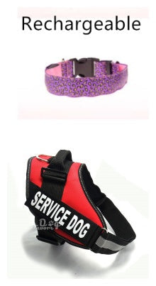 KFX-0908989 LED Pet Safety Collar with Adjustable Nylon and Leopard Print Design