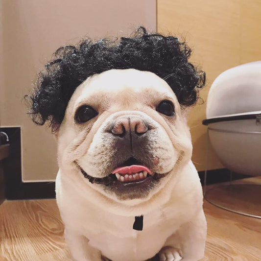 KFX-0911805 Dog Head Ornament - Fashionable Pet Wig for Parties - Multiple Colors Available