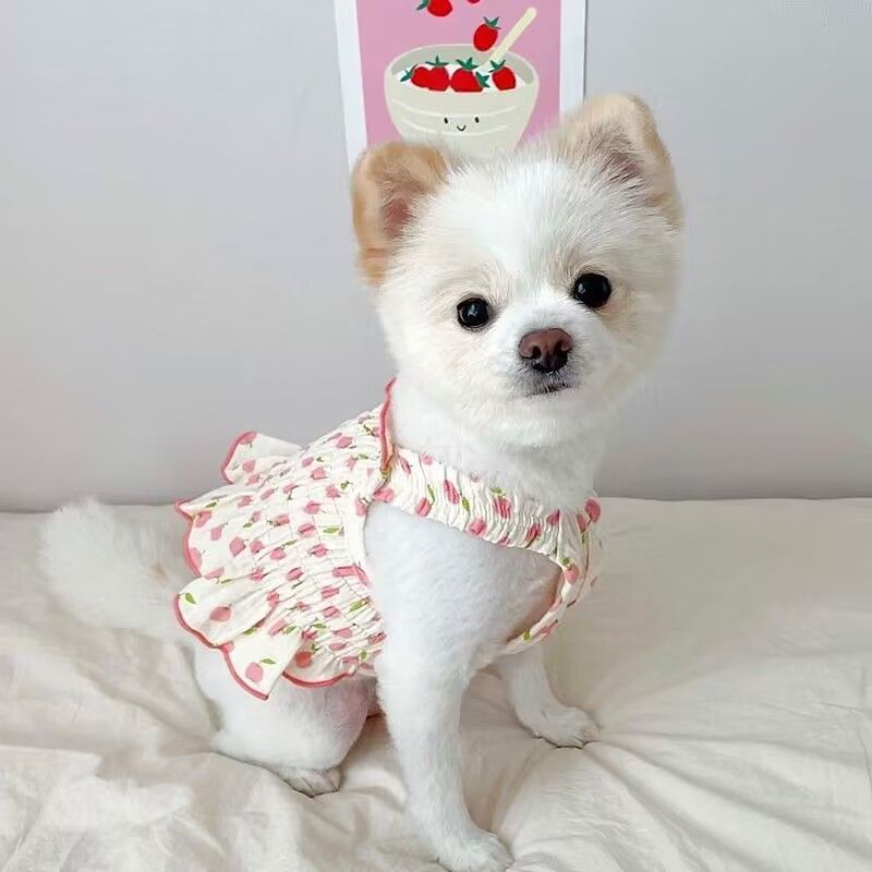 KFX-0912573 Summer Dog Halter Skirt in Red, Yellow, and Pink - Coral Fleece, Sizes XS-XL
