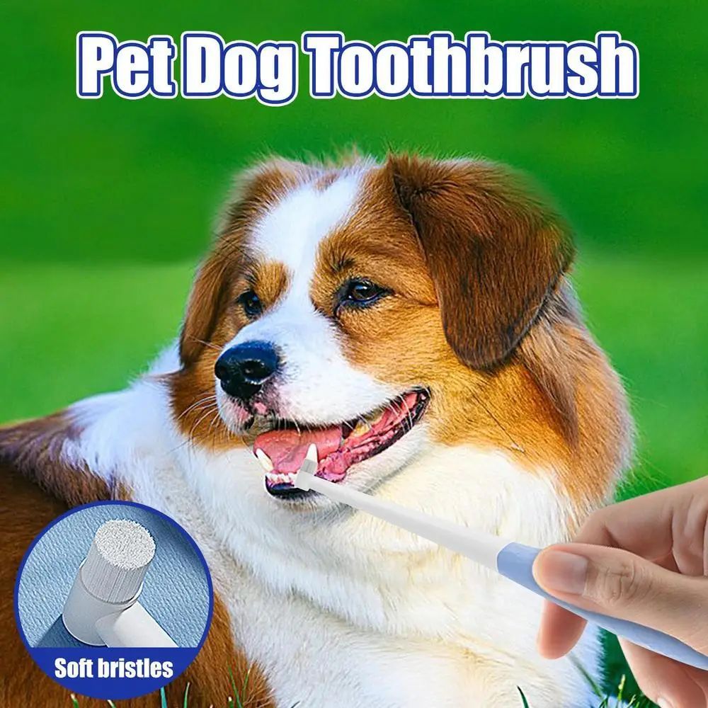 KFX-0918205 Cat and Small Dog Toothbrush with Soft Bristles and Anti-Slip Handle for Gentle Oral Care