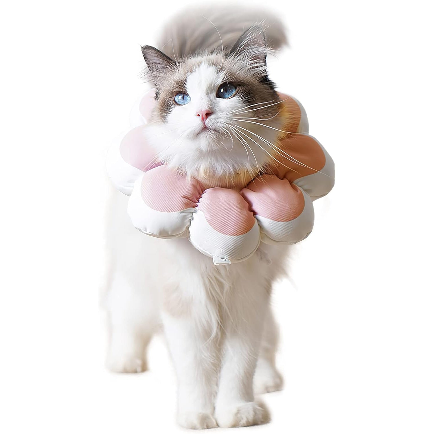 KFX-0919997 Soft Breathable Recovery Cone for Cats and Puppies - Easy-to-Clean E-Collar for Post-Surgery Care