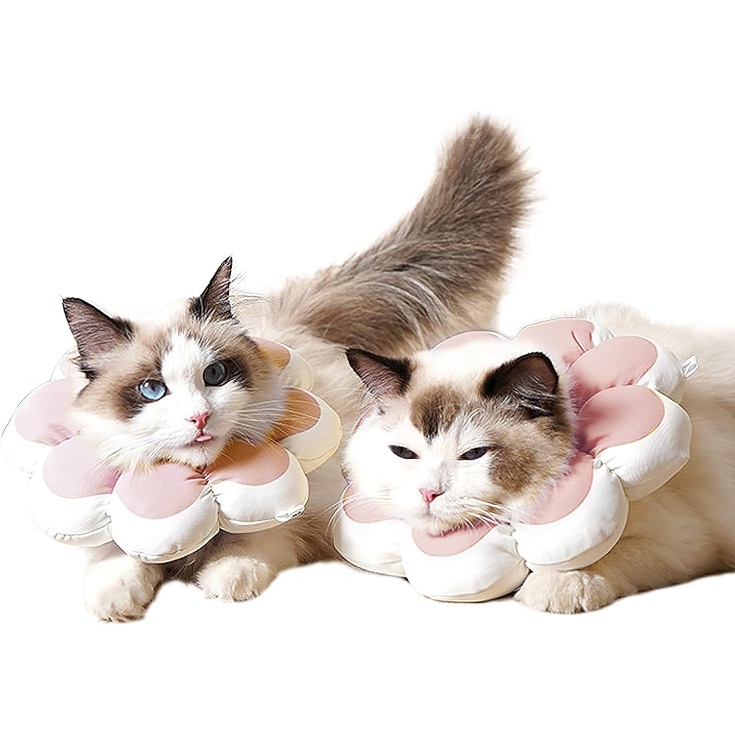 KFX-0919997 Soft Breathable Recovery Cone for Cats and Puppies - Easy-to-Clean E-Collar for Post-Surgery Care