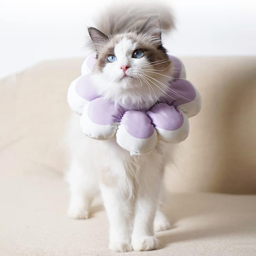 KFX-0919997 Soft Breathable Recovery Cone for Cats and Puppies - Easy-to-Clean E-Collar for Post-Surgery Care