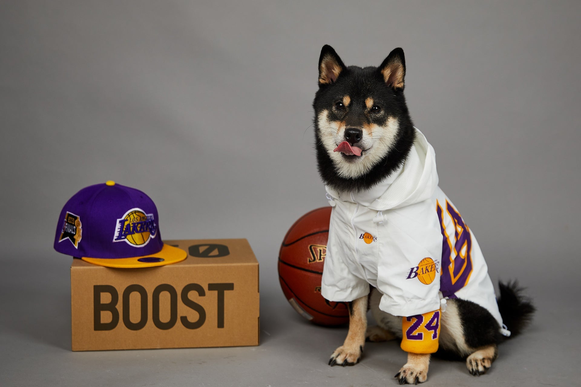 KFX-0920125 Basketball Shell Jacket for Pets in Various Sizes