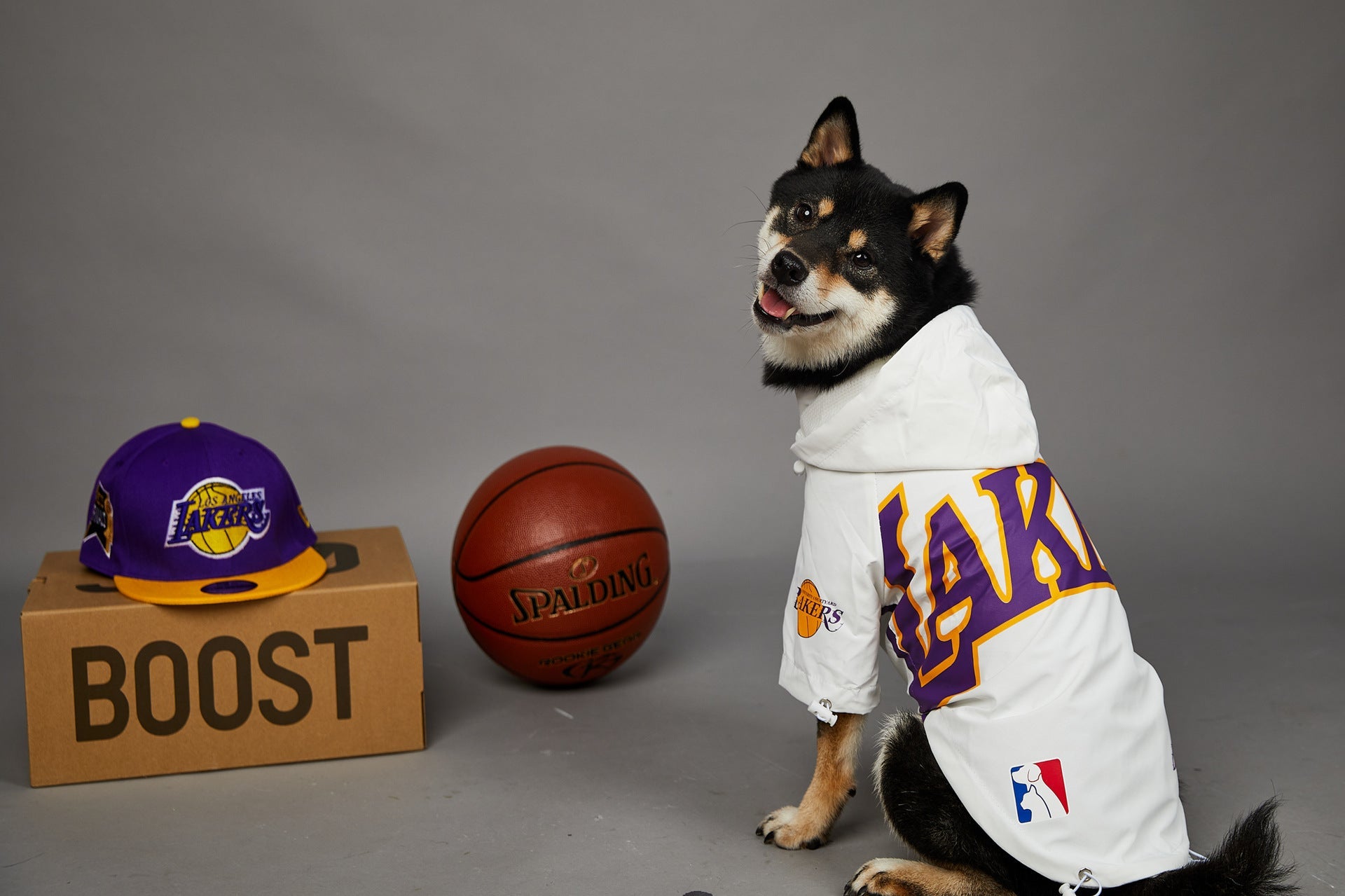 KFX-0920125 Basketball Shell Jacket for Pets in Various Sizes