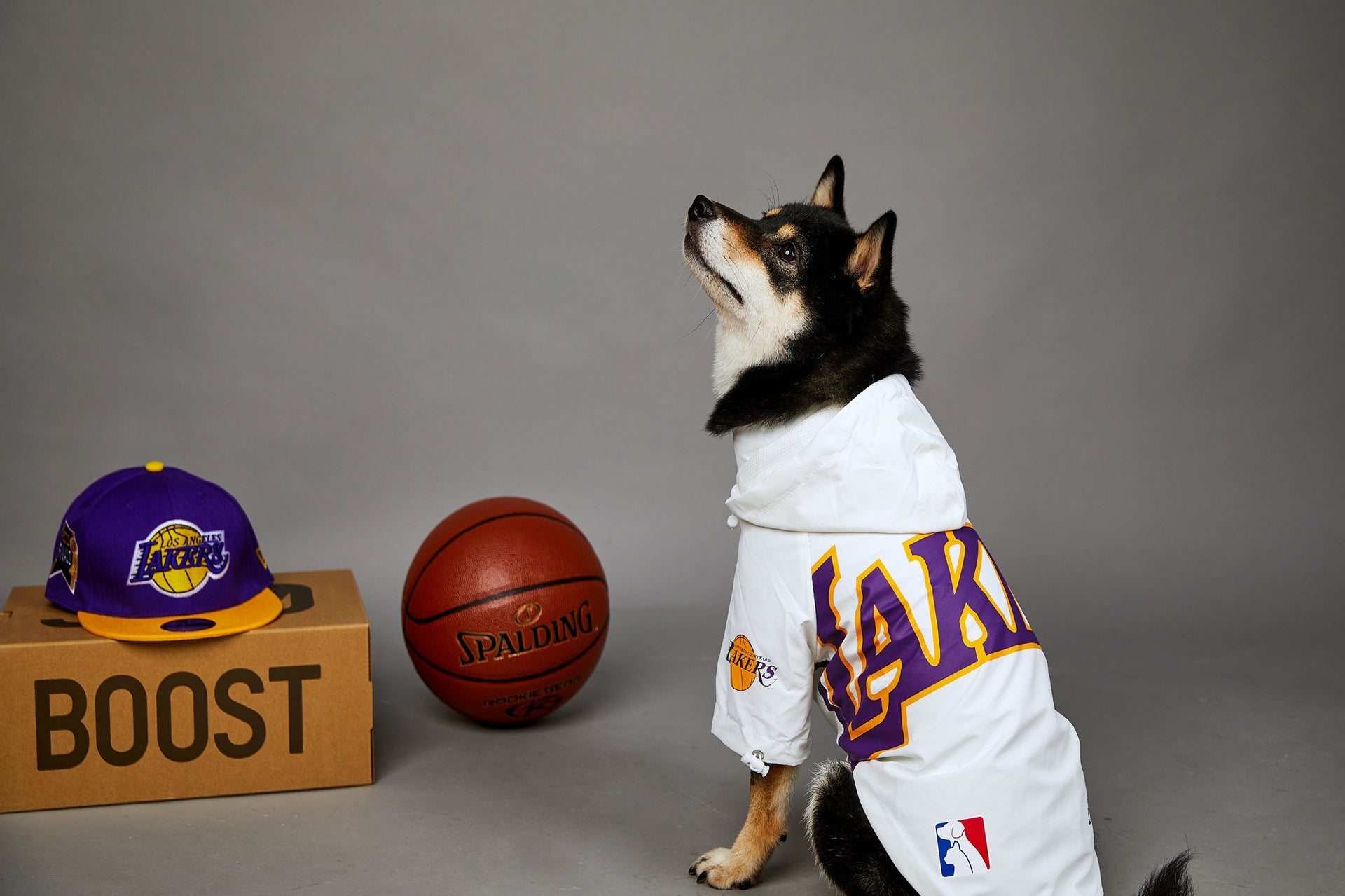 KFX-0920125 Basketball Shell Jacket for Pets in Various Sizes