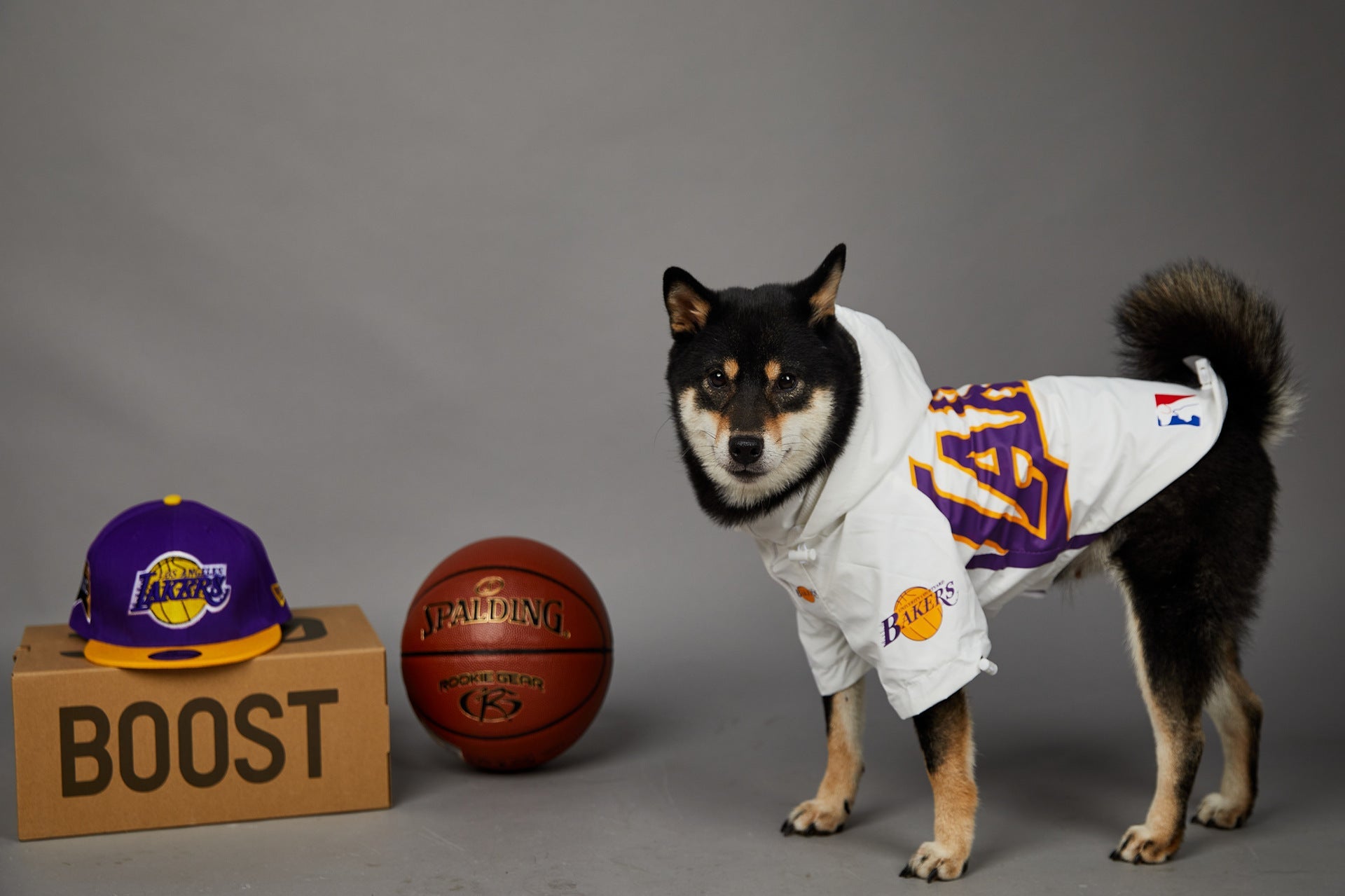 KFX-0920125 Basketball Shell Jacket for Pets in Various Sizes