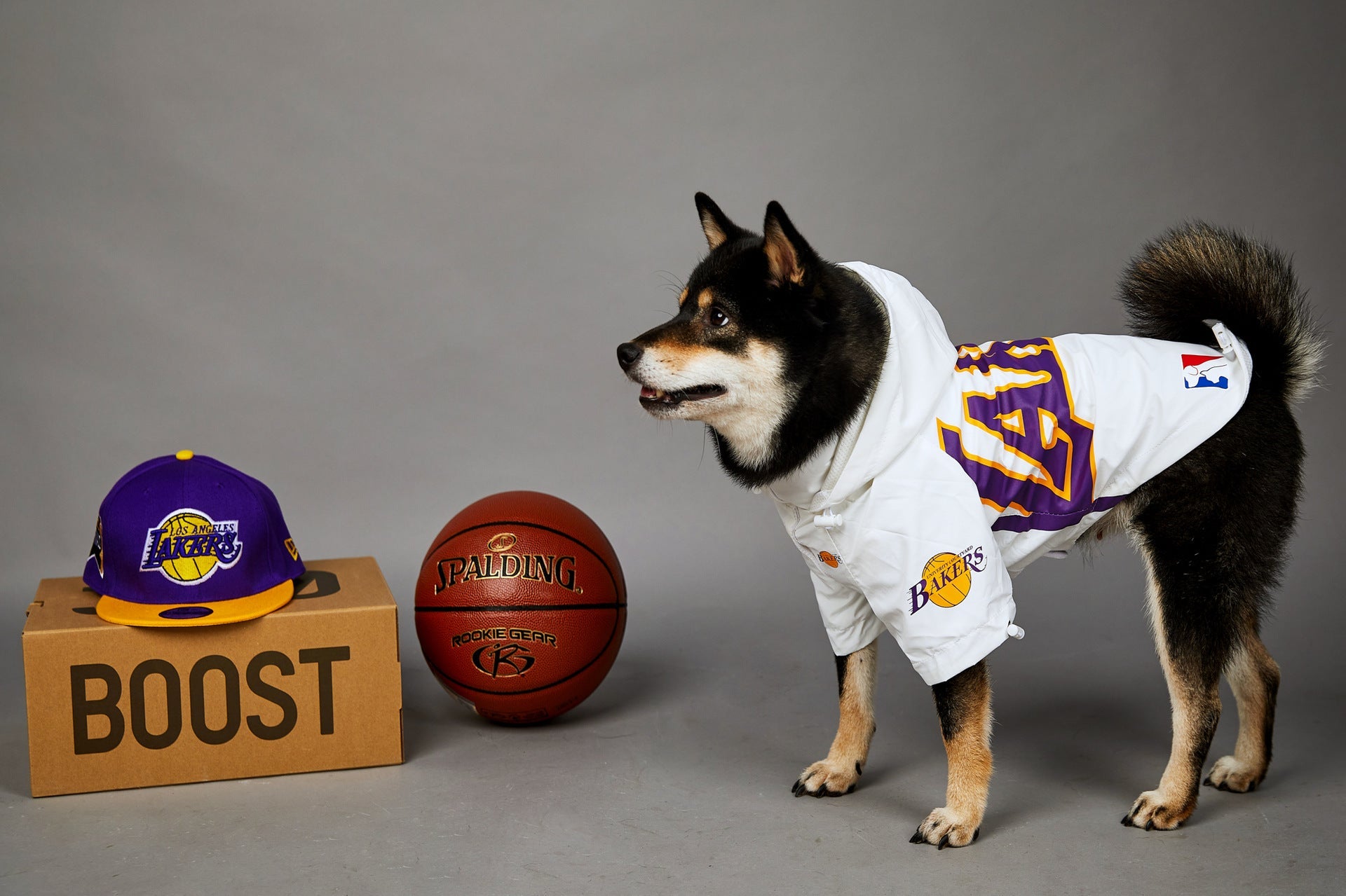 KFX-0920125 Basketball Shell Jacket for Pets in Various Sizes