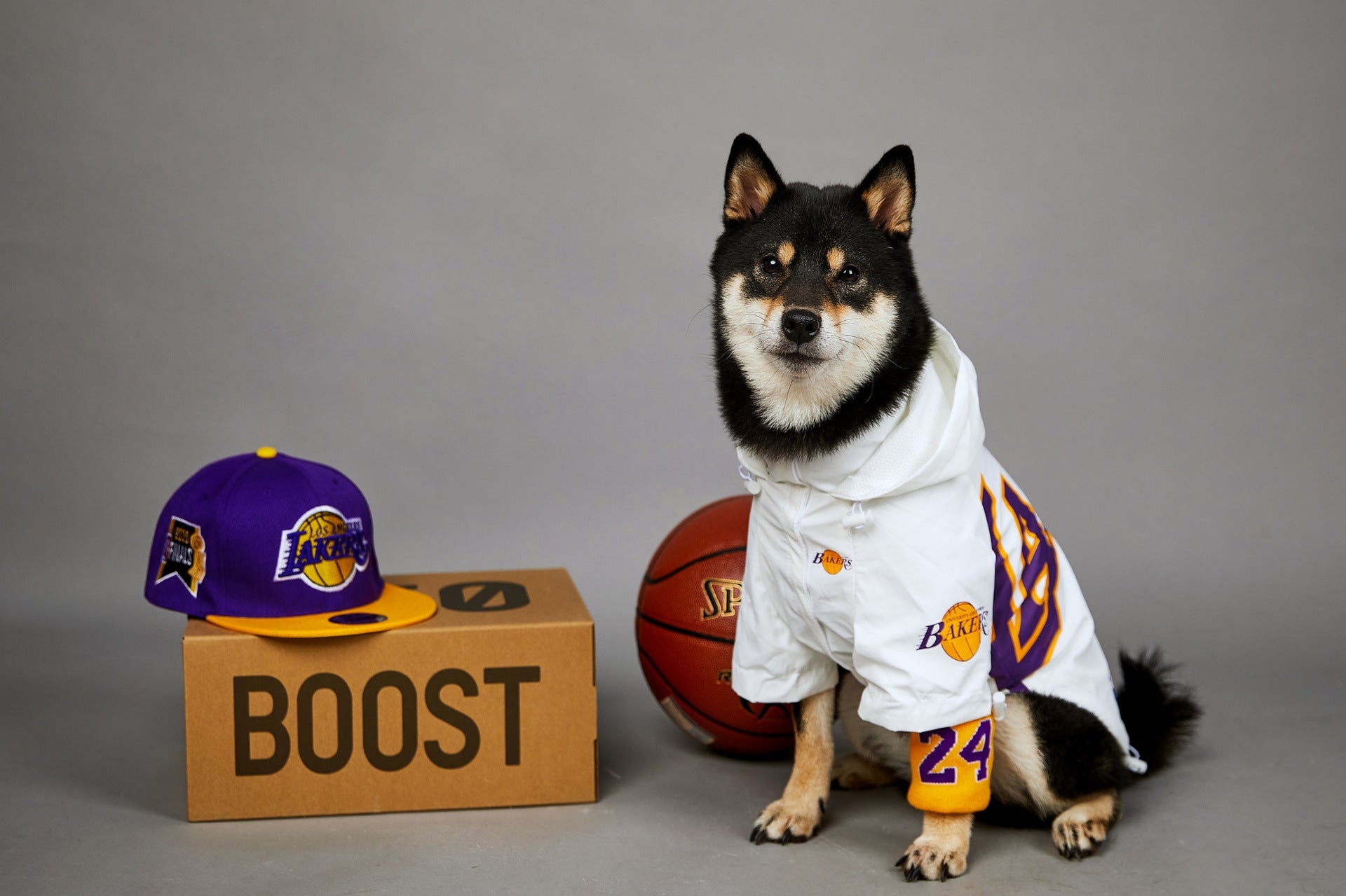 KFX-0920125 Basketball Shell Jacket for Pets in Various Sizes